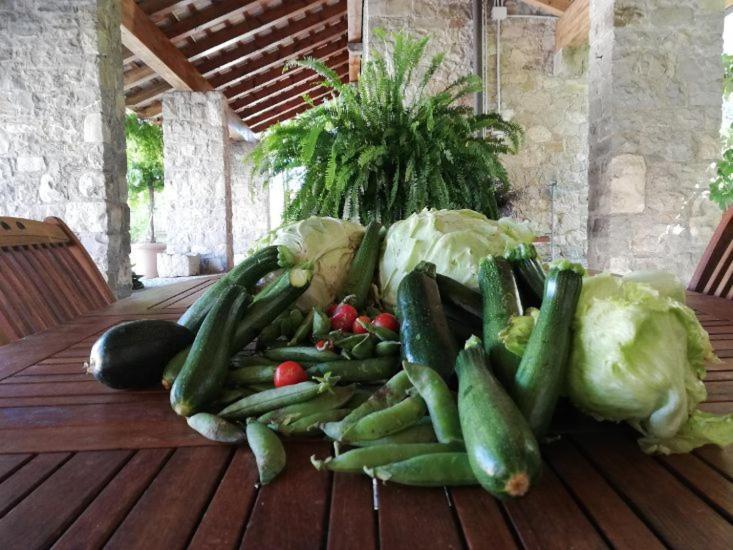 Ronc Dai Luchis Villa Faedis Kültér fotó